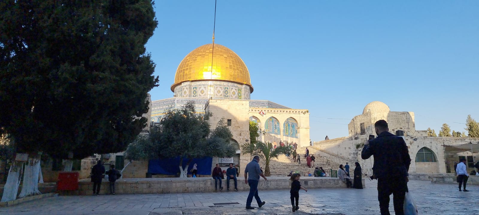 WhatsApp Image 2022-04-11 at 6.42.33 PM.jpeg